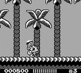 Adventure Island Adventure Island